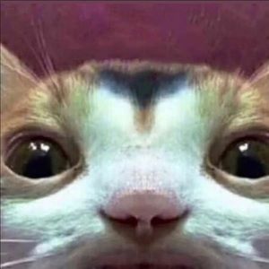 Meet your Posher, Richie